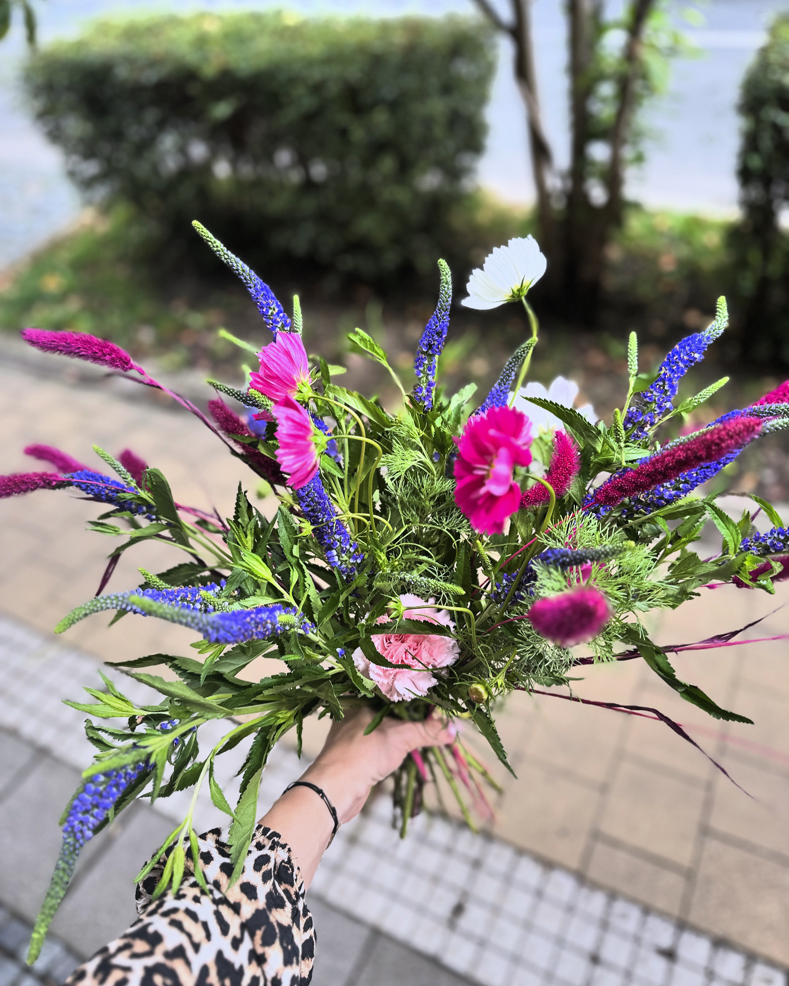 Na louce v Poděbradech, Květiny, sociální sítě, vče na co vzpomeneš