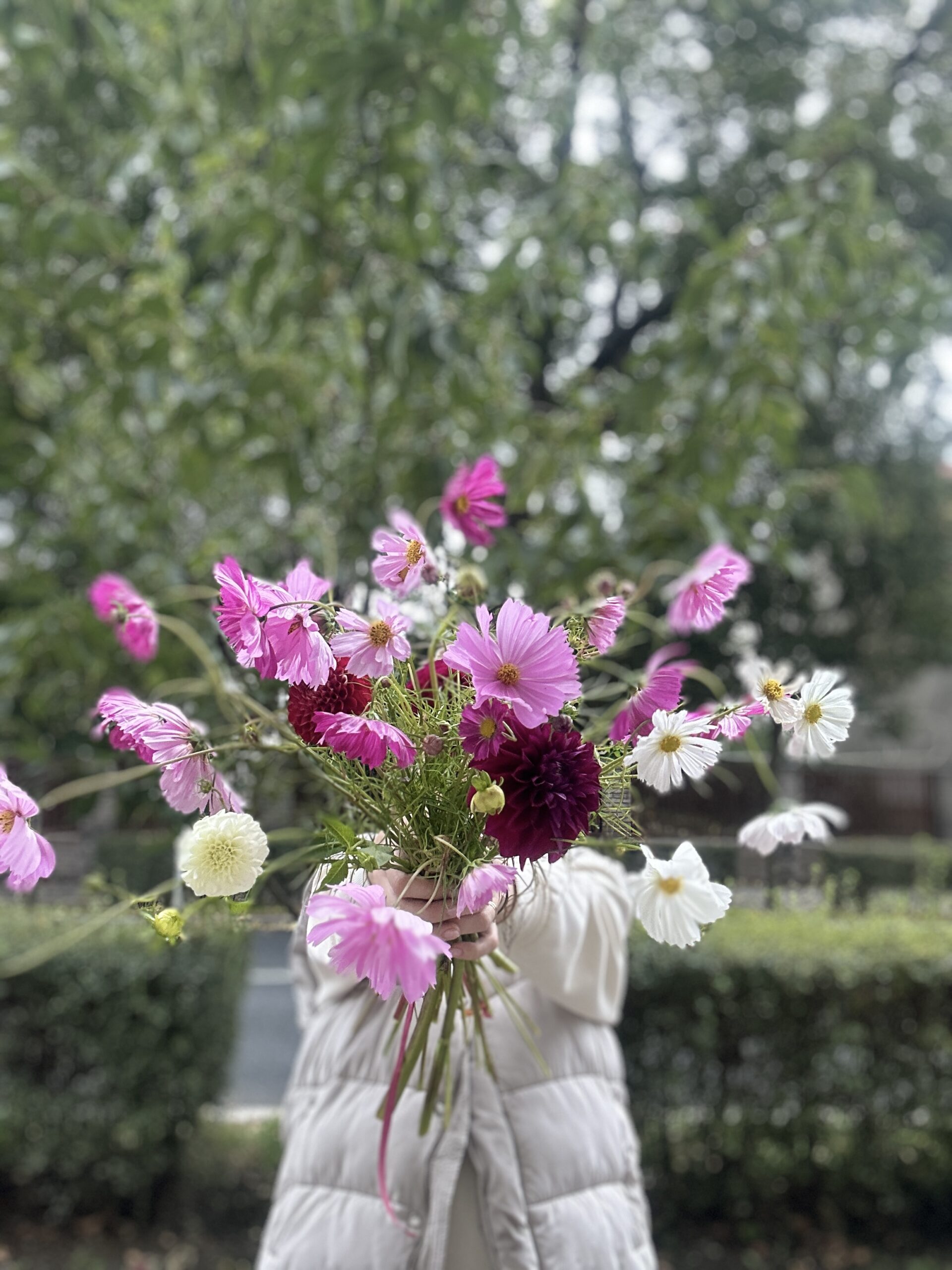 Na louce v Poděbradech, Květiny, sociální sítě, vče na co vzpomeneš