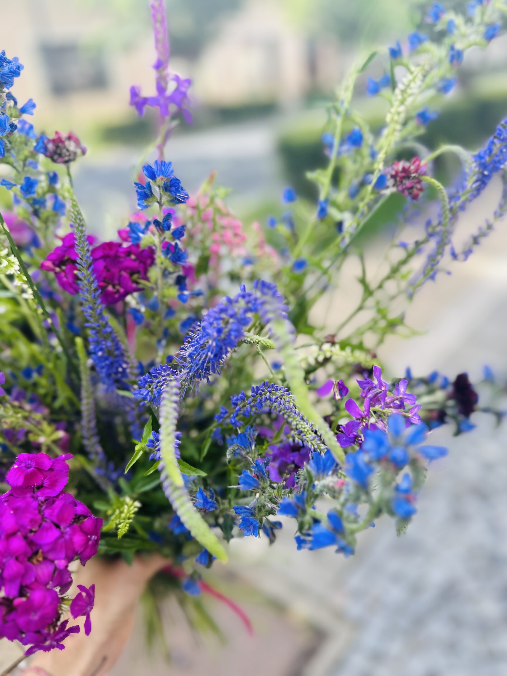 Na louce v Poděbradech, Květiny, sociální sítě, vče na co vzpomeneš