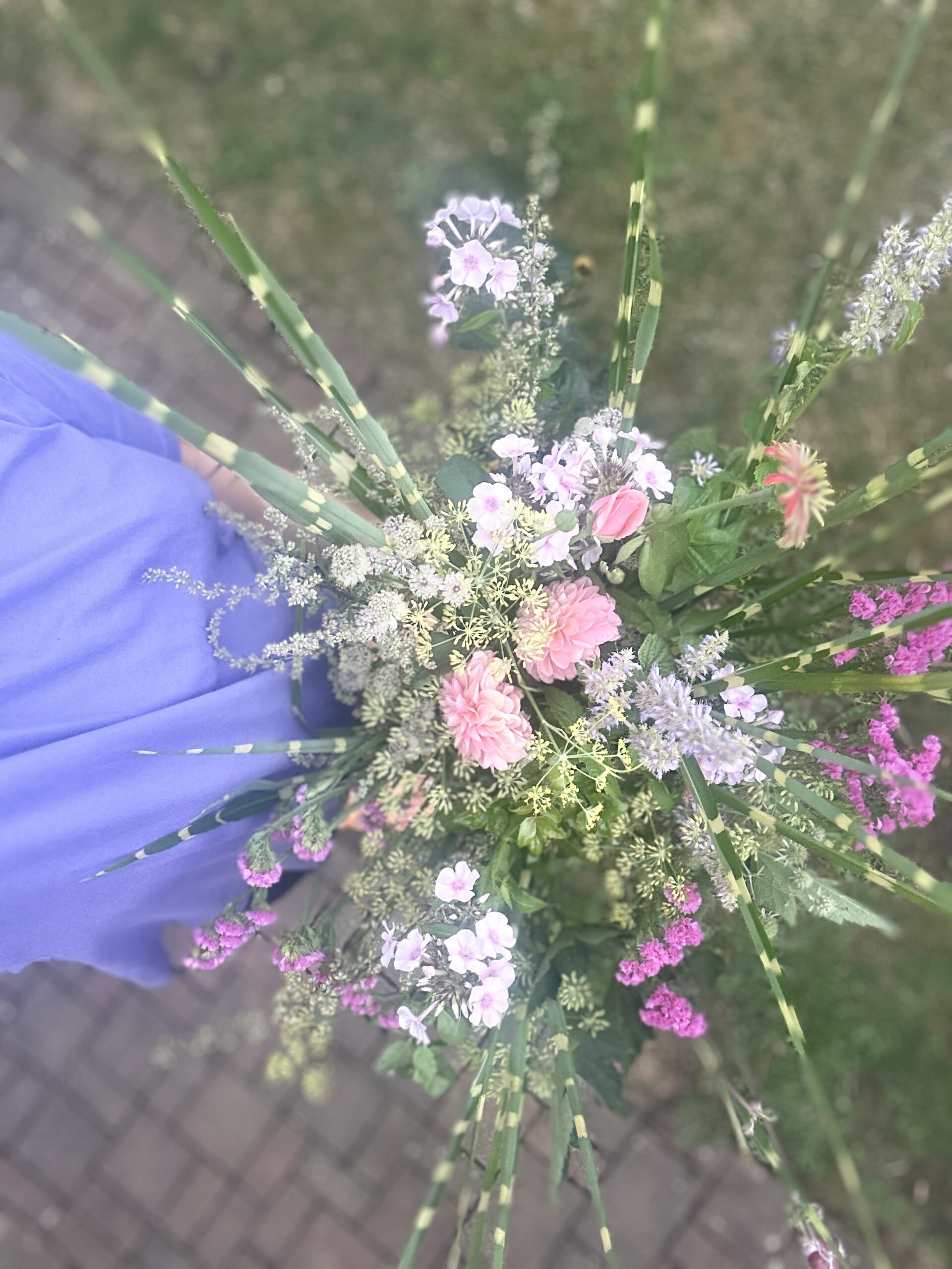 Na louce v Poděbradech, Květiny, sociální sítě, vče na co vzpomeneš