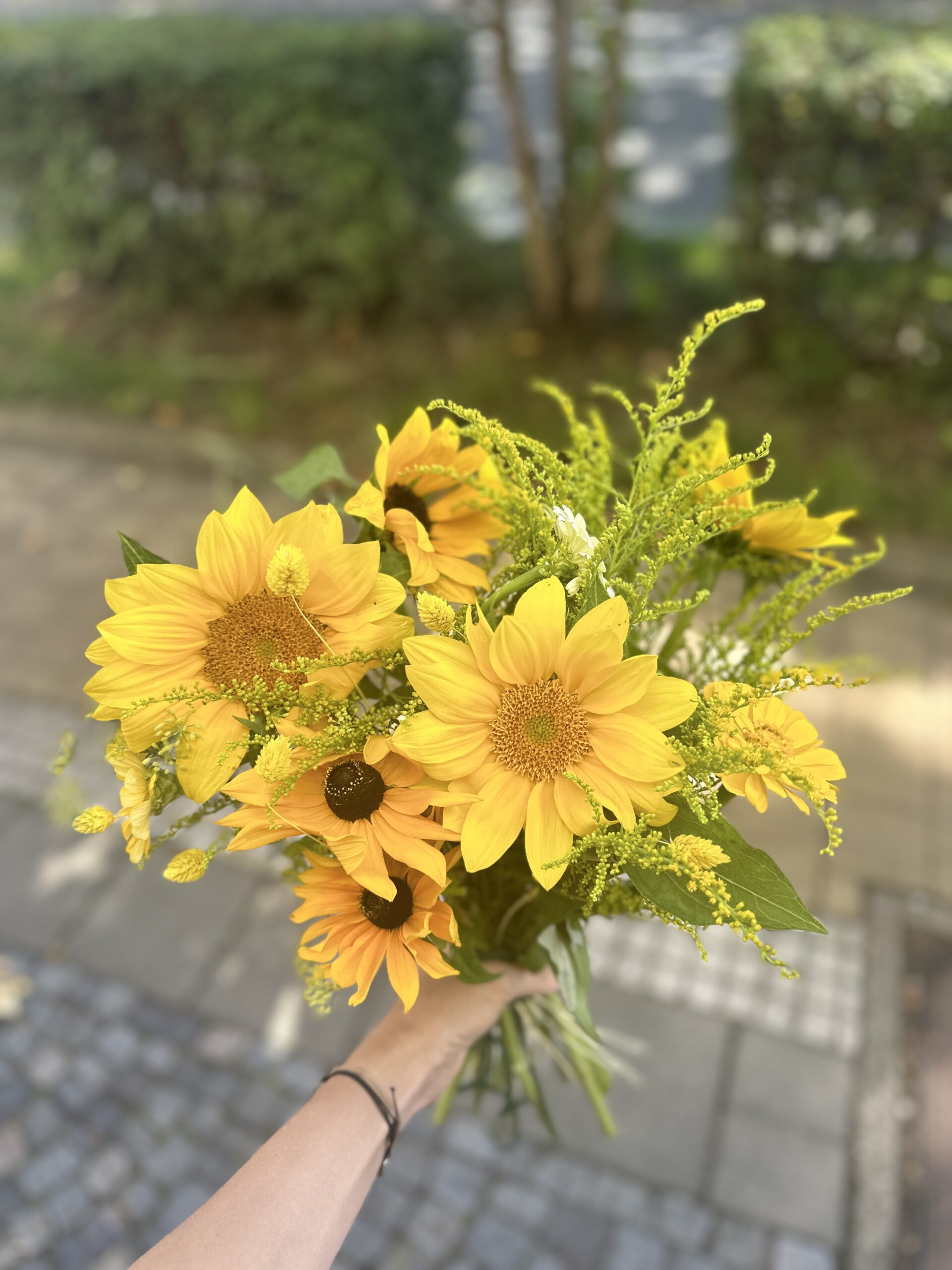 Na louce v Poděbradech, Květiny, sociální sítě, vče na co vzpomeneš